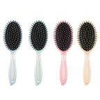 Buy Bulk Paddle Hair Brushes 4 Colors — B2B Wholesale Personal Care Supplier for Retailers Canada CAD Pricing