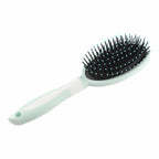 Assorted Hair Brushes Bulk Display — Wholesale Personal Care Supplier Calgary Alberta Canada